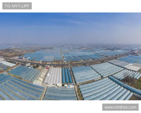 激发创新活力保护企业家精神推动经济高质量发展的战略路径与实践探索