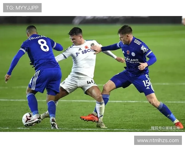 维罗纳逆转博洛尼亚 鲍伊马丁-弗雷泽建功