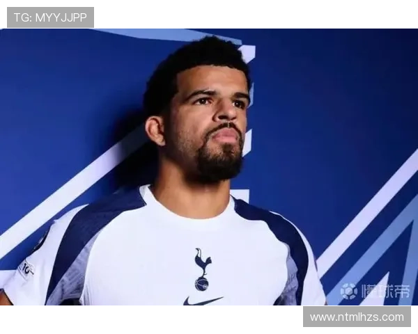 索兰克赛季或报销热刺受创